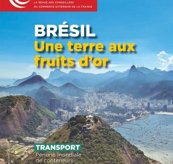 Brésil : une terre aux fruits d'or